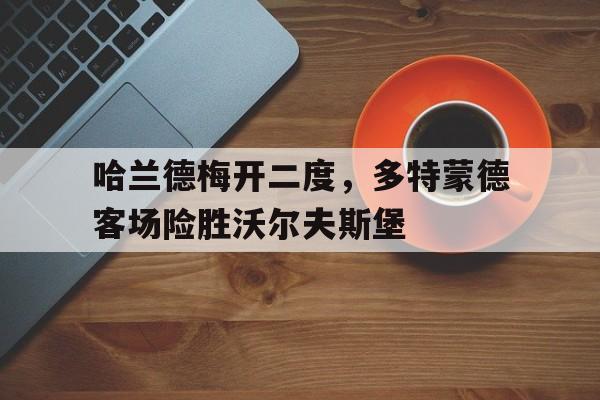 九游体育官方登录入口-哈兰德梅开二度，多特蒙德客场险胜沃尔夫斯堡的简单介绍