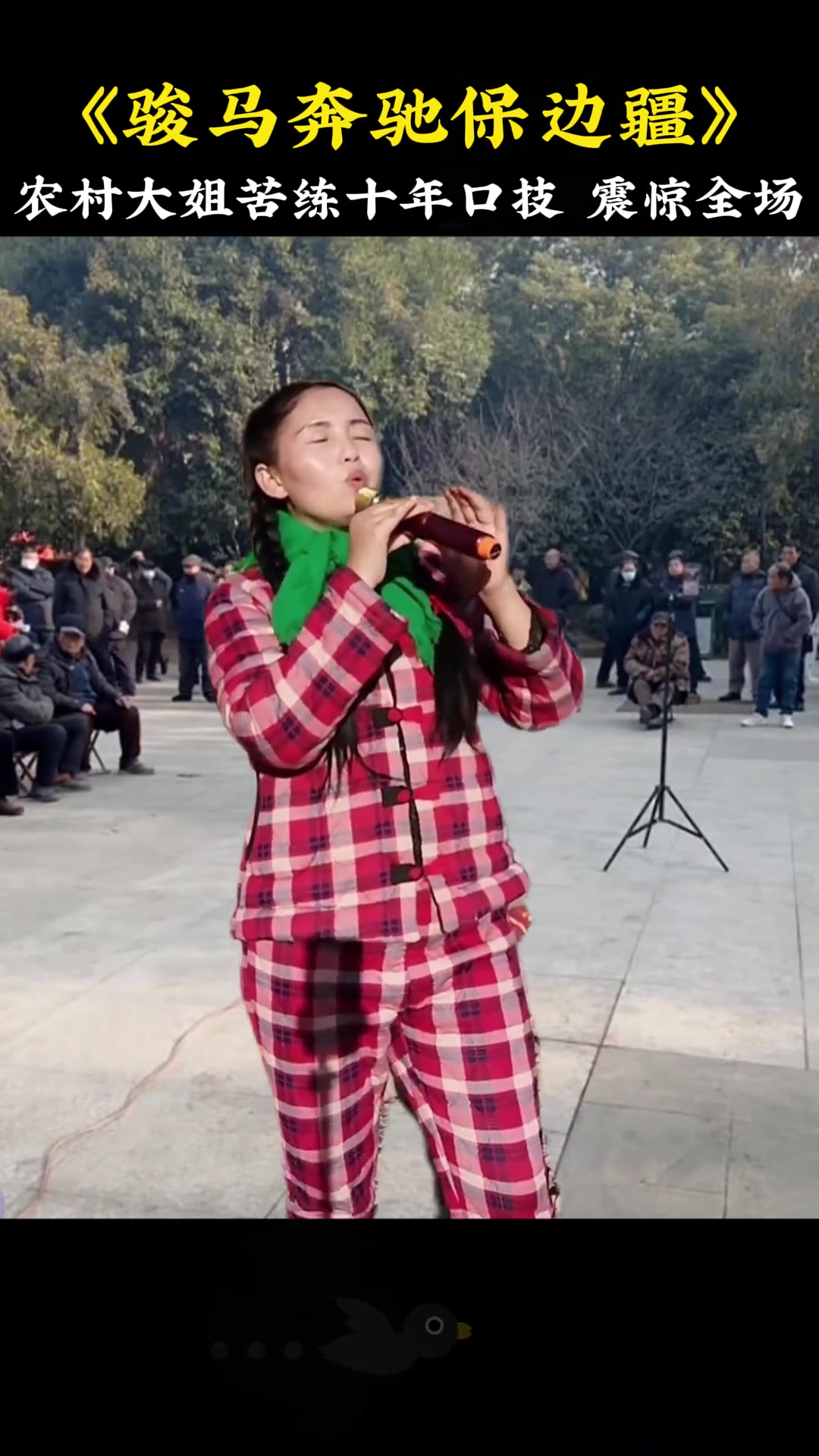 精湛技艺展现，观众赞叹不已